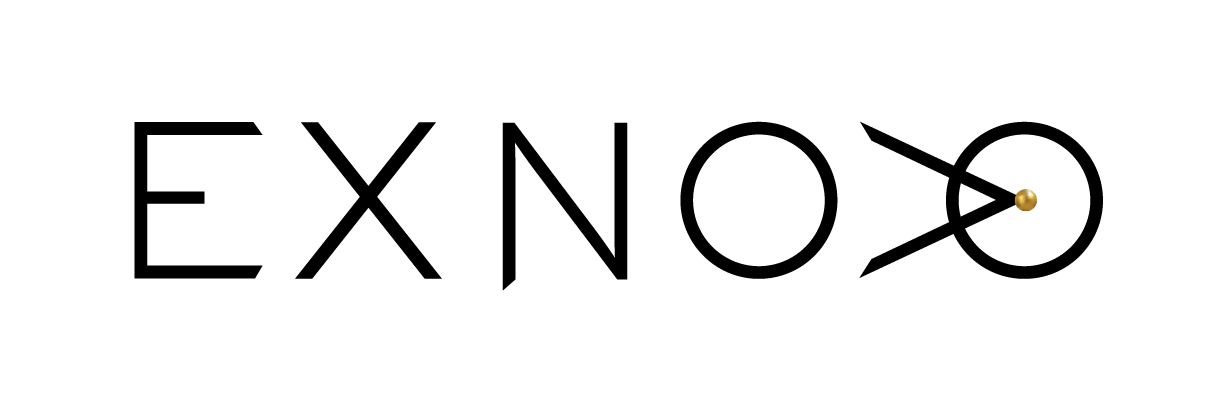 Ex Novo Innovation Consultants (Latvia)
